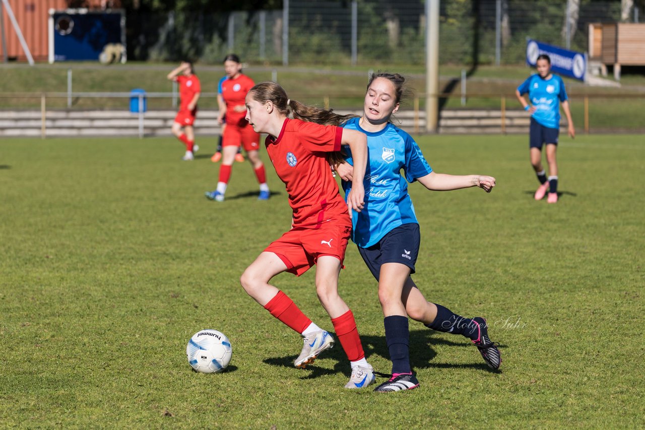 Bild 362 - wBJ TuS Rotenhof - Holstein Kiel : Ergebnis: 1:4